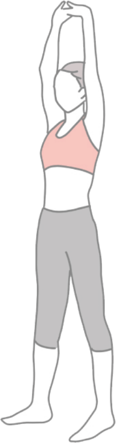 トレーニングイラスト